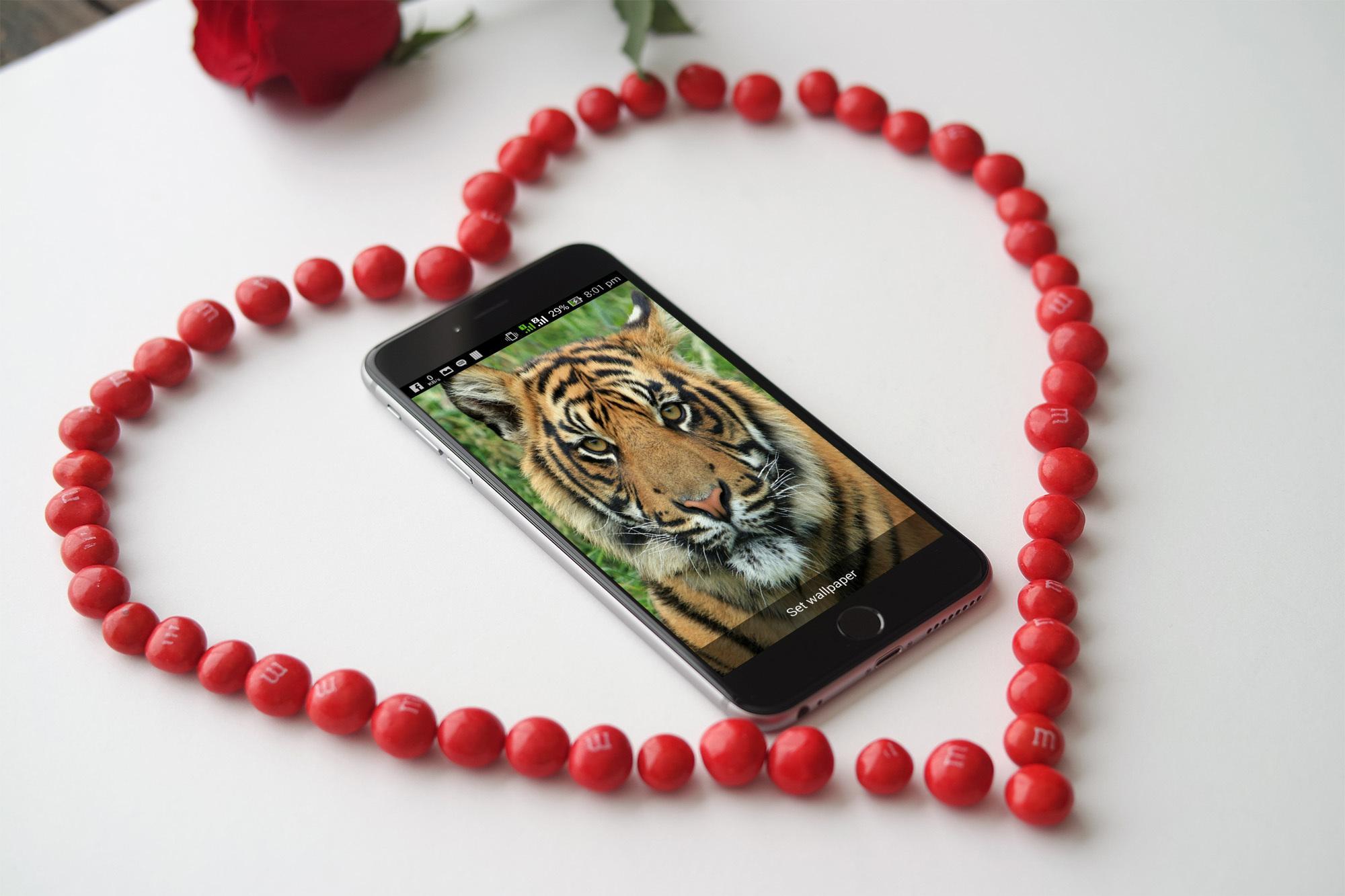 Free Tiger HD Live Wallpaper
