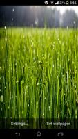 Galaxy S5 HD Live Wallpaper