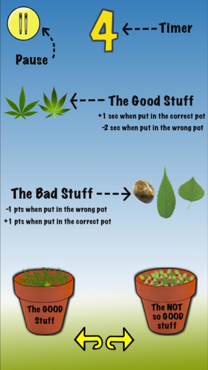 A Leaf Story Free