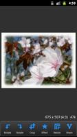 Tadano Photo Editor