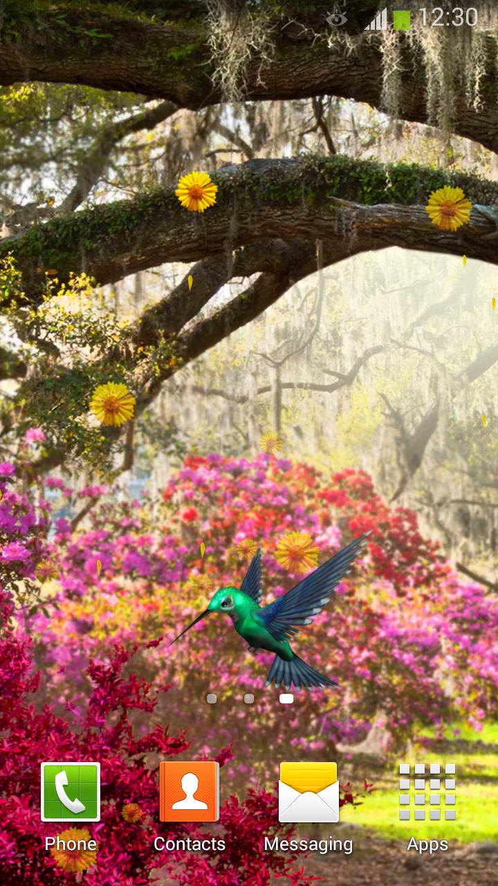 The Secret Garden