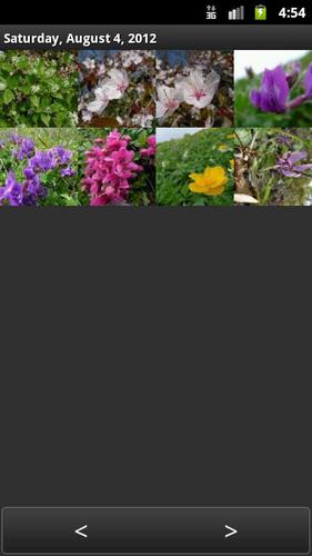 Tadano Photo Editor