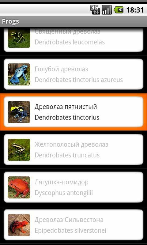 Frogs