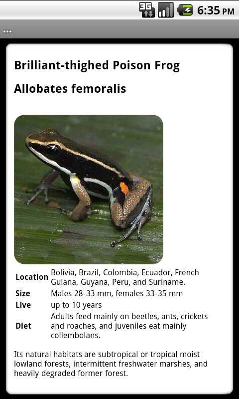 Frogs