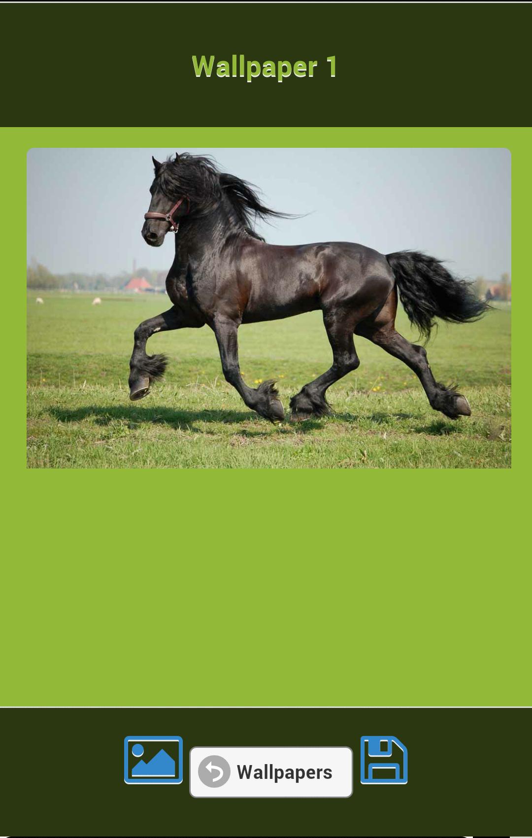 Horses Wallpapers