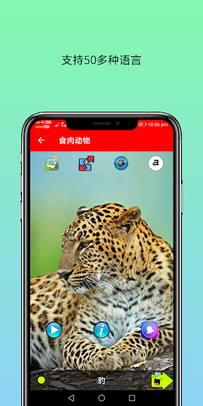 150 Animal Sounds