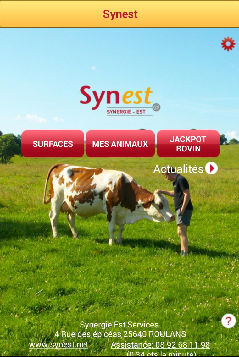 SYNEST Carnet