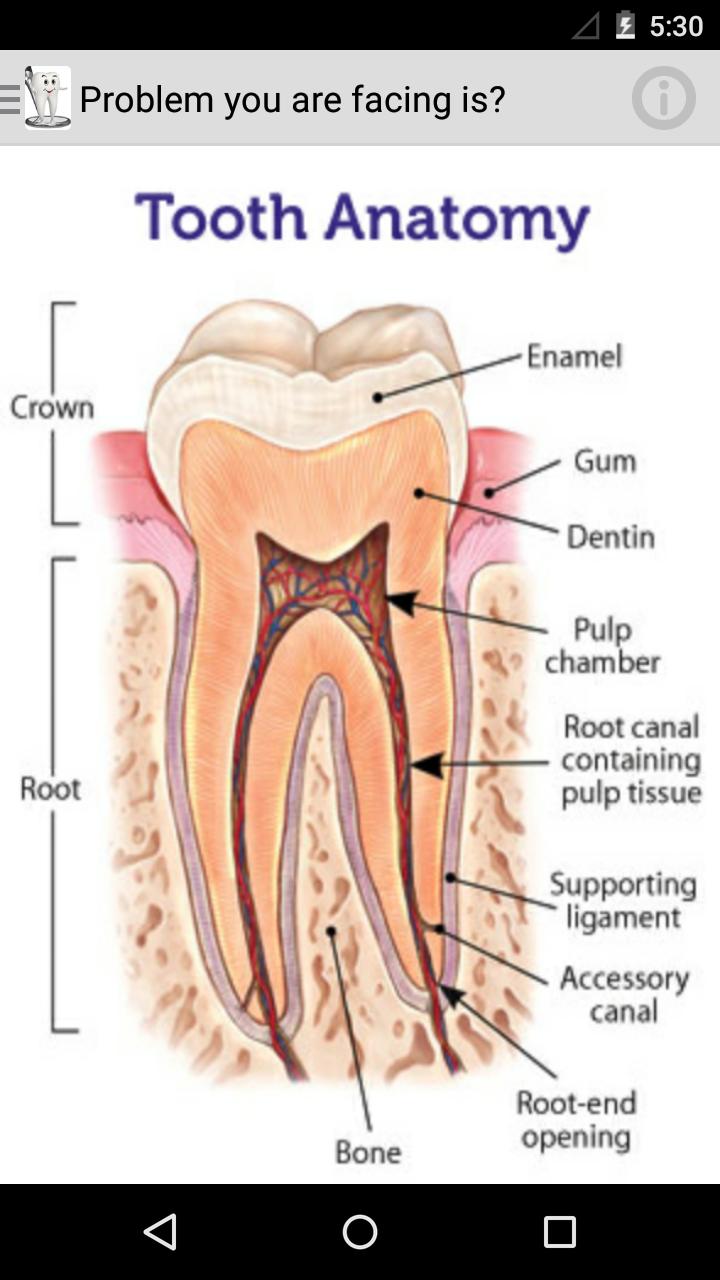 Dental Desk