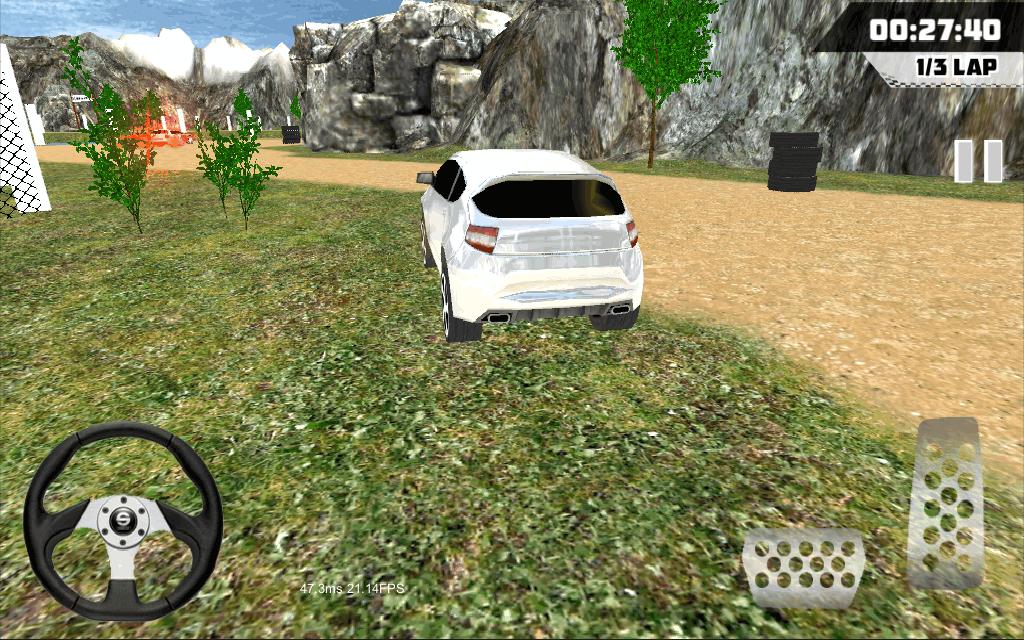 Dirt Race