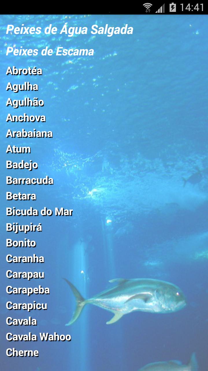 Pesca Brasil