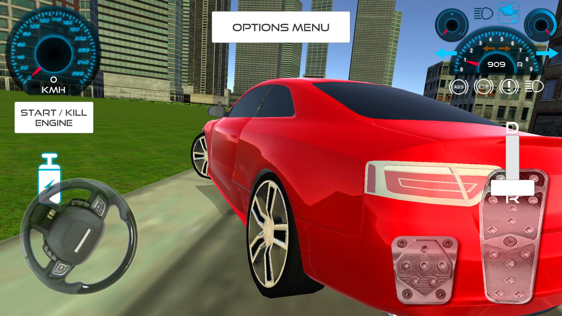 Racing Sport Car Driving
