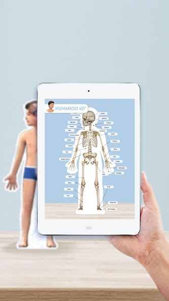 Humanoid 4D+