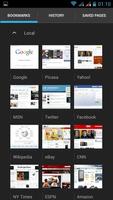 Flash  Browser