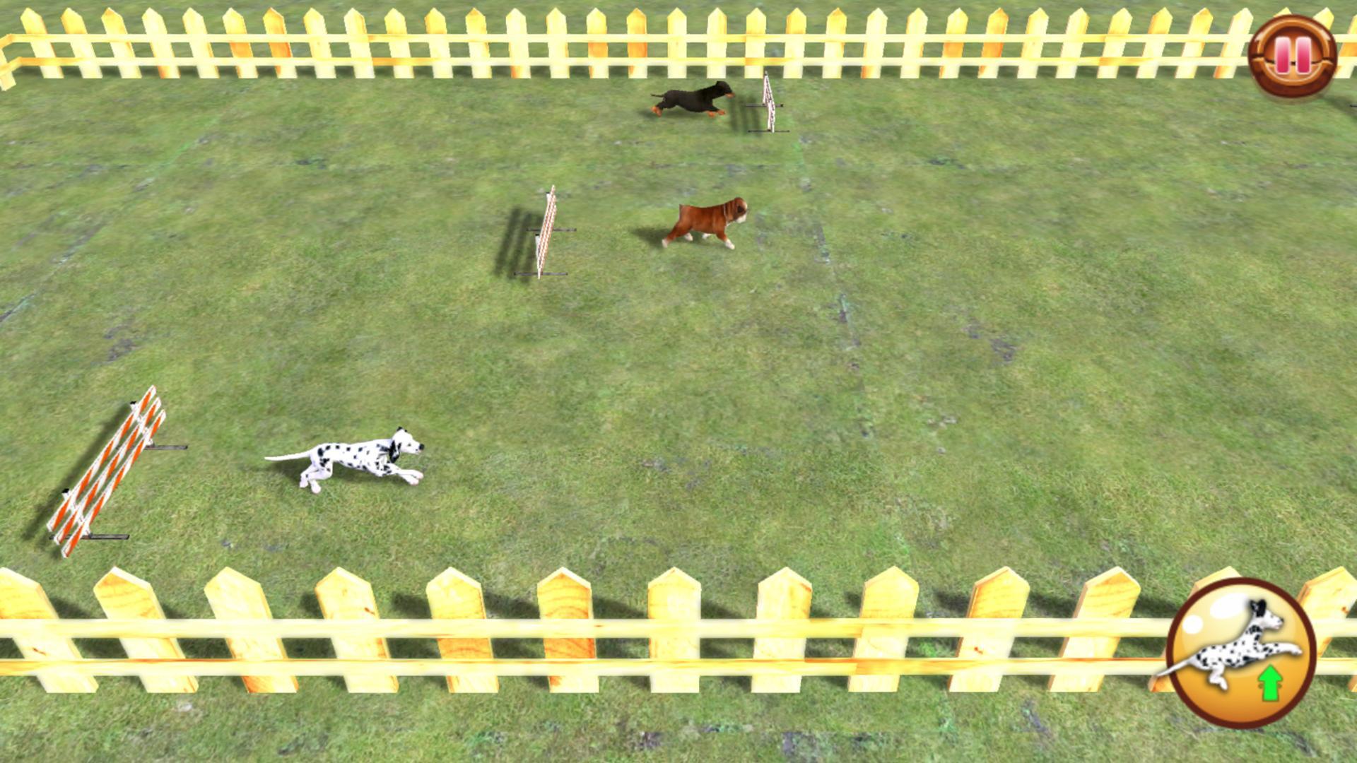 Play with your Dog: Dalmatian