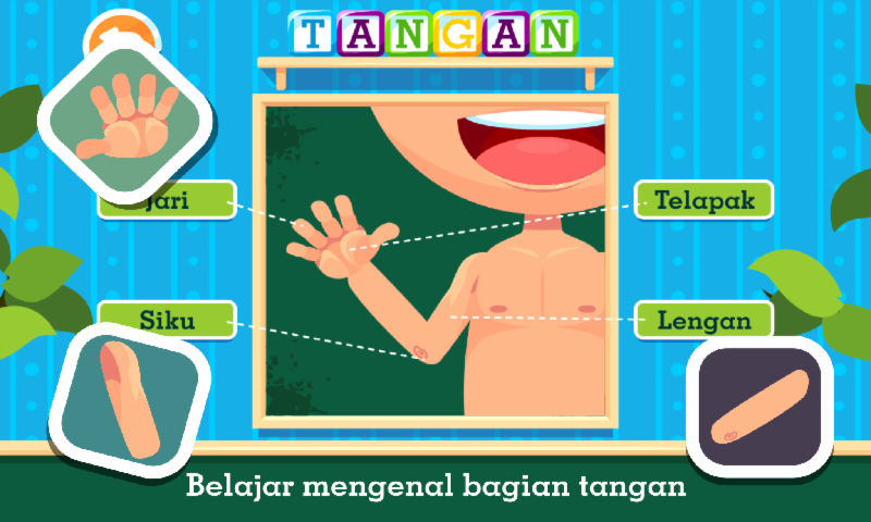 Marbel Belajar Bagian Tubuh