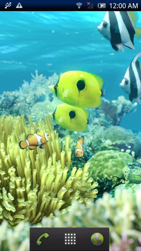 Tropical Fish Trial