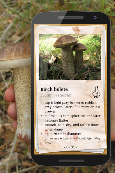 The Mushroom Book