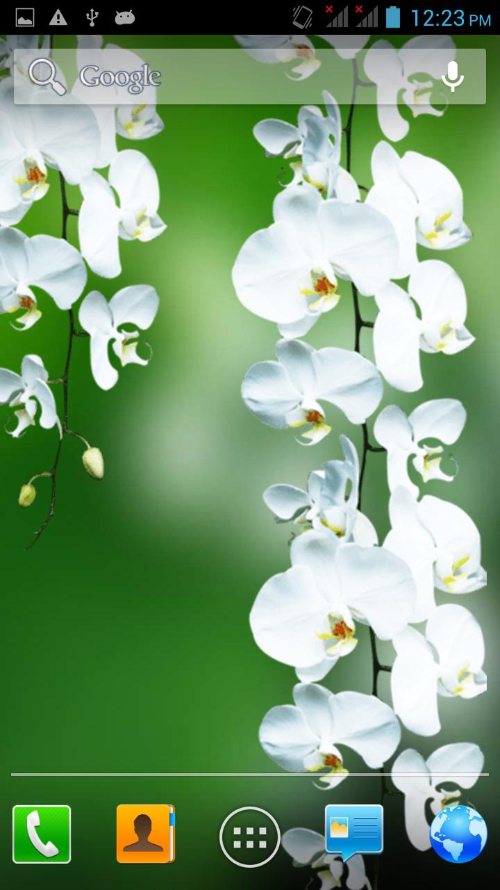 Flowers 3D live wallpaper