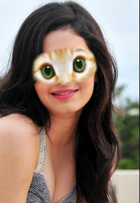 Animal Eye Mask