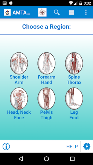 AMTA Anatomy
