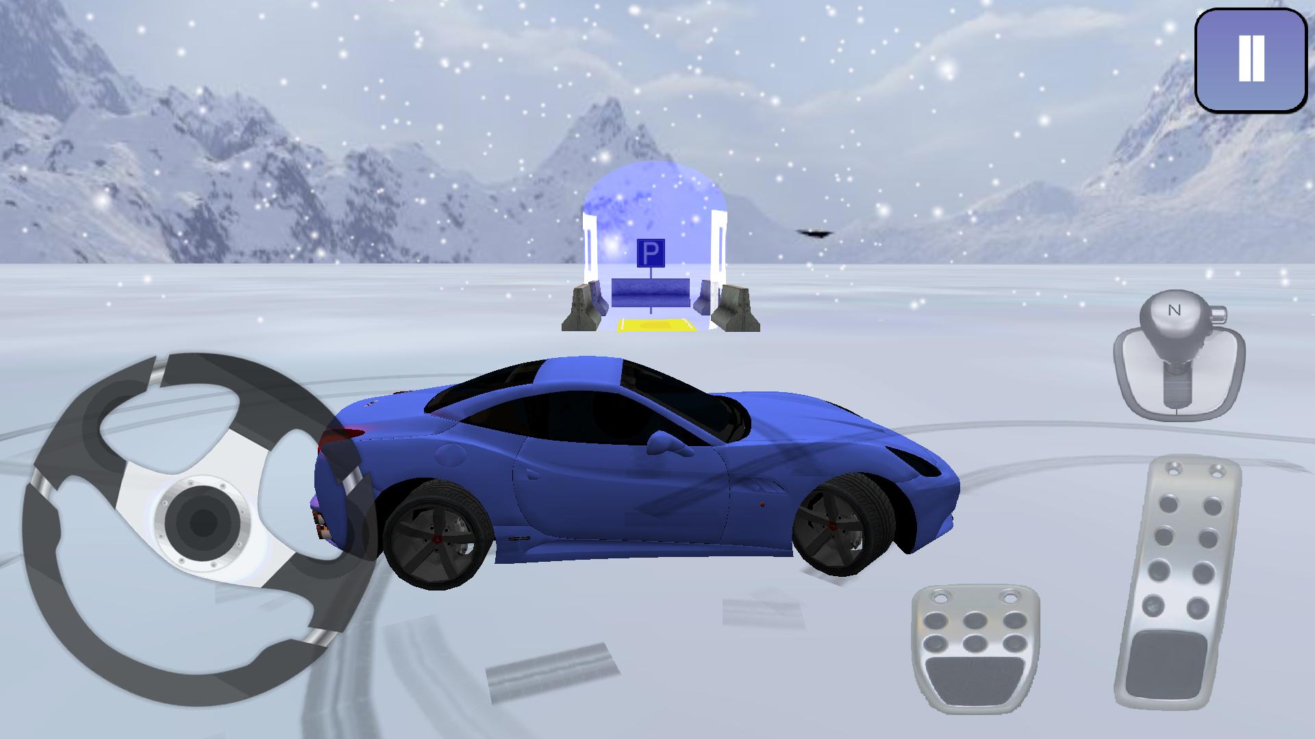 New year snow park
