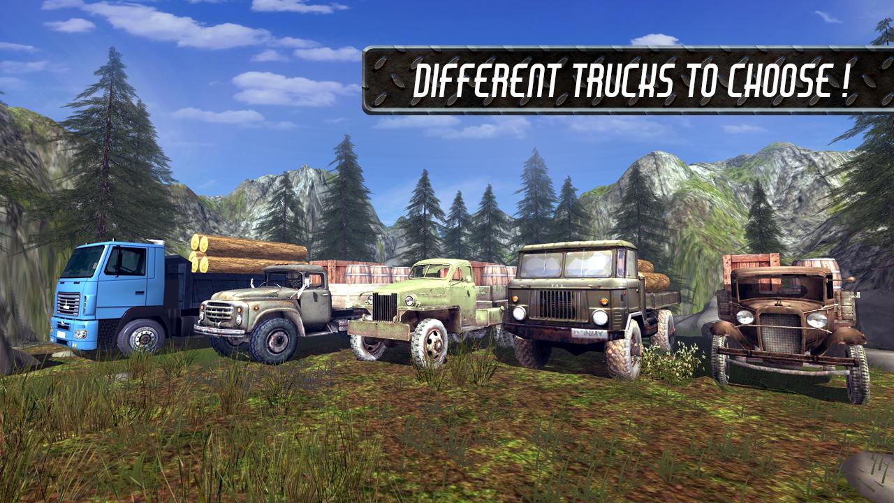 Truck Driver Cargo