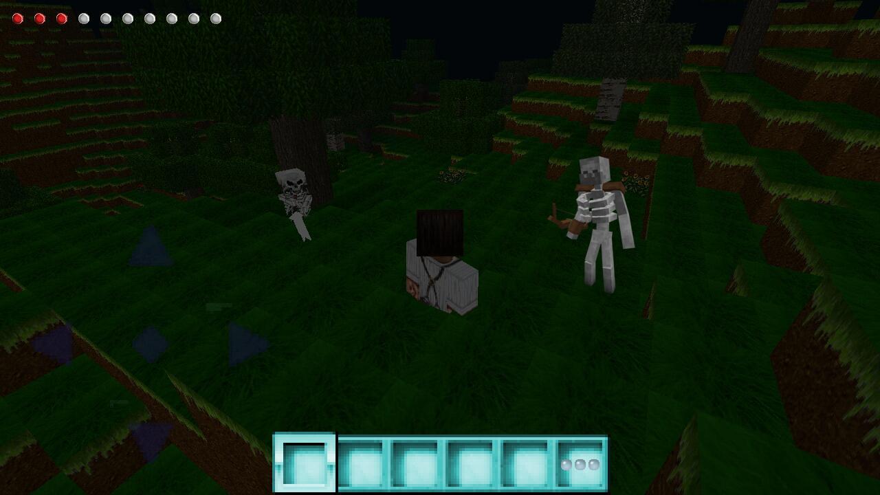 Craft Survival