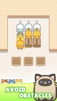 Box Cat Jam
