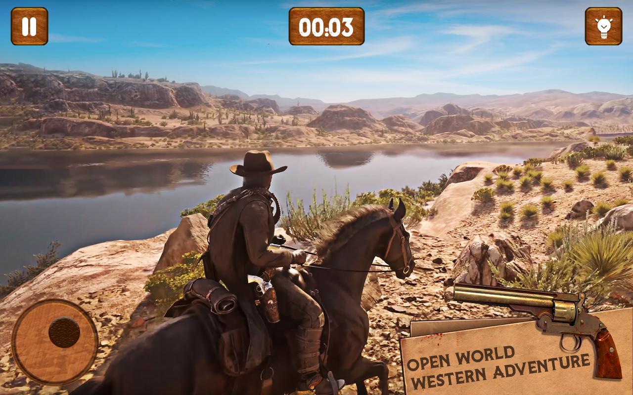 Western Cowboy Gunfighter  : West Gunfighter Gang