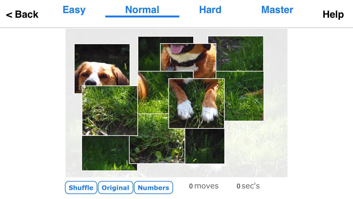 Sim Puzzle