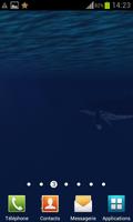 Ocean Whale Live wallpaper Pro
