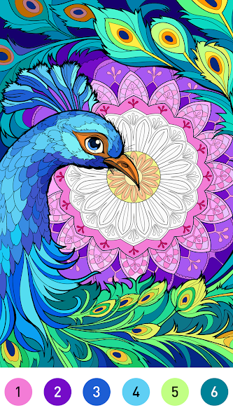 Mandala Color