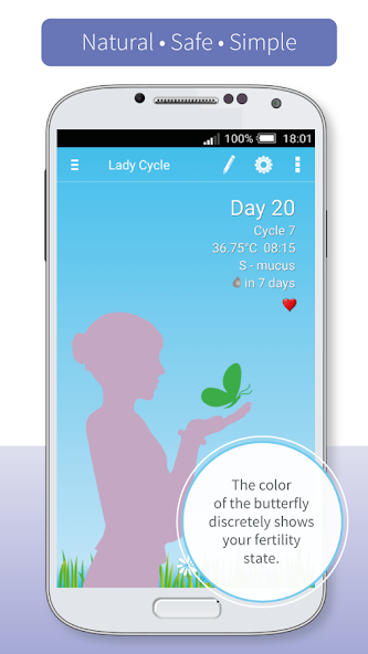 Lady Cycle