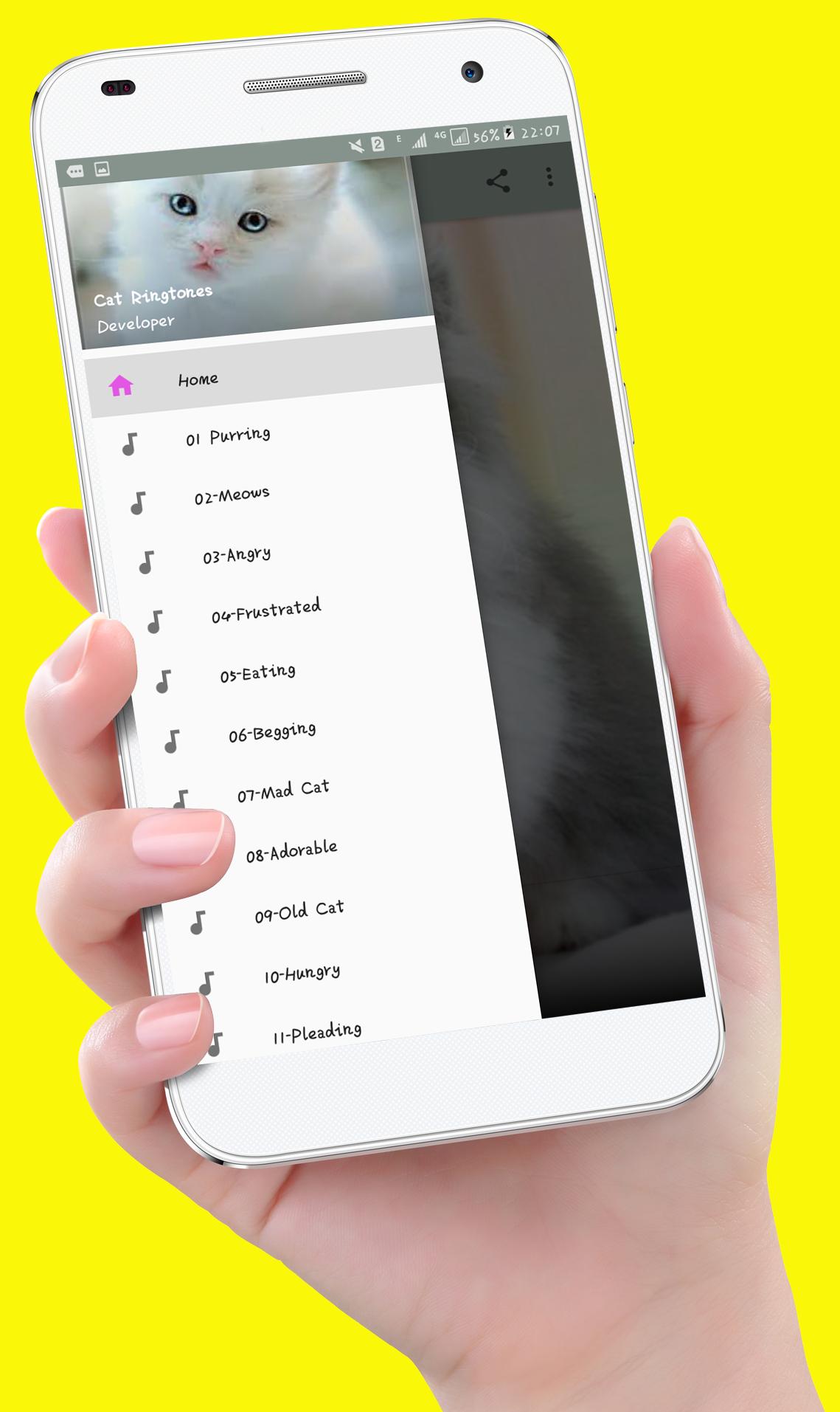 New Cat Ringtones