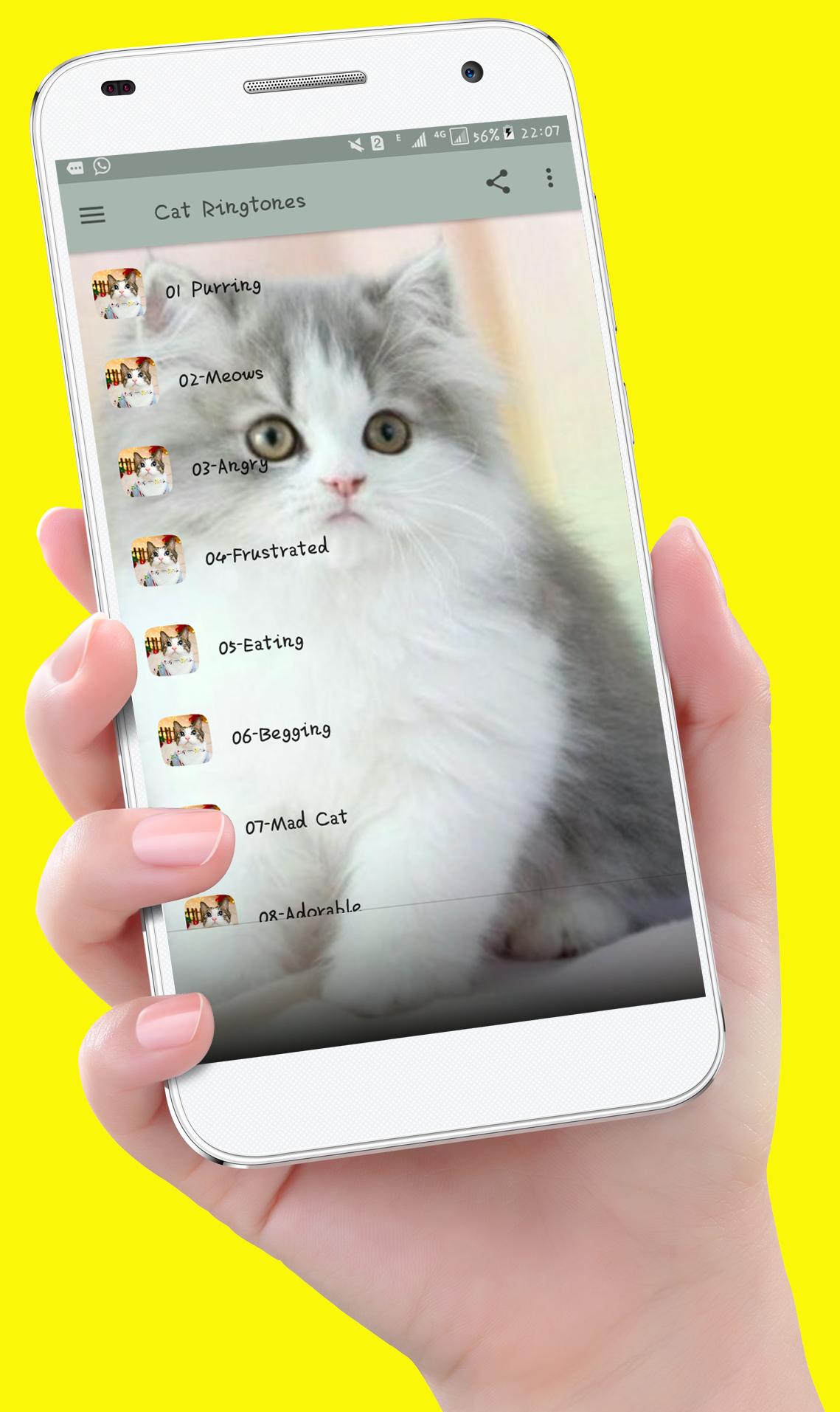 New Cat Ringtones
