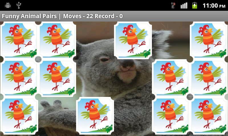 Funny Animal Pairs