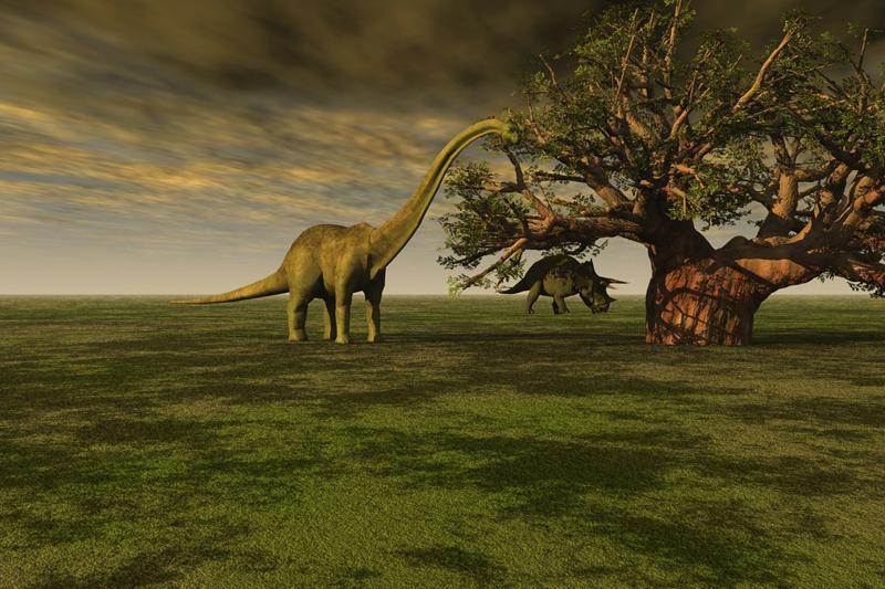 Wild Dinosaur Games