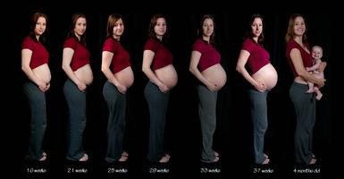 Pregnancy Symptoms