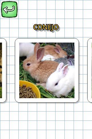 Animals in spanish
