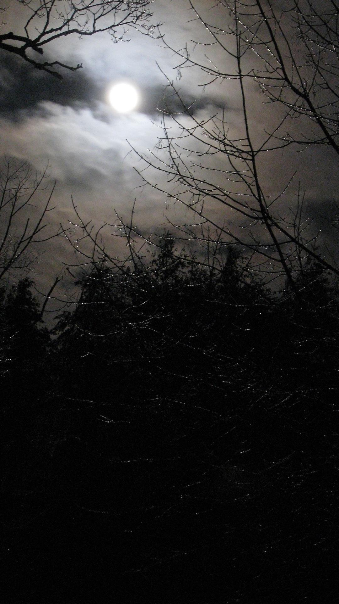 Horror Wallpapers
