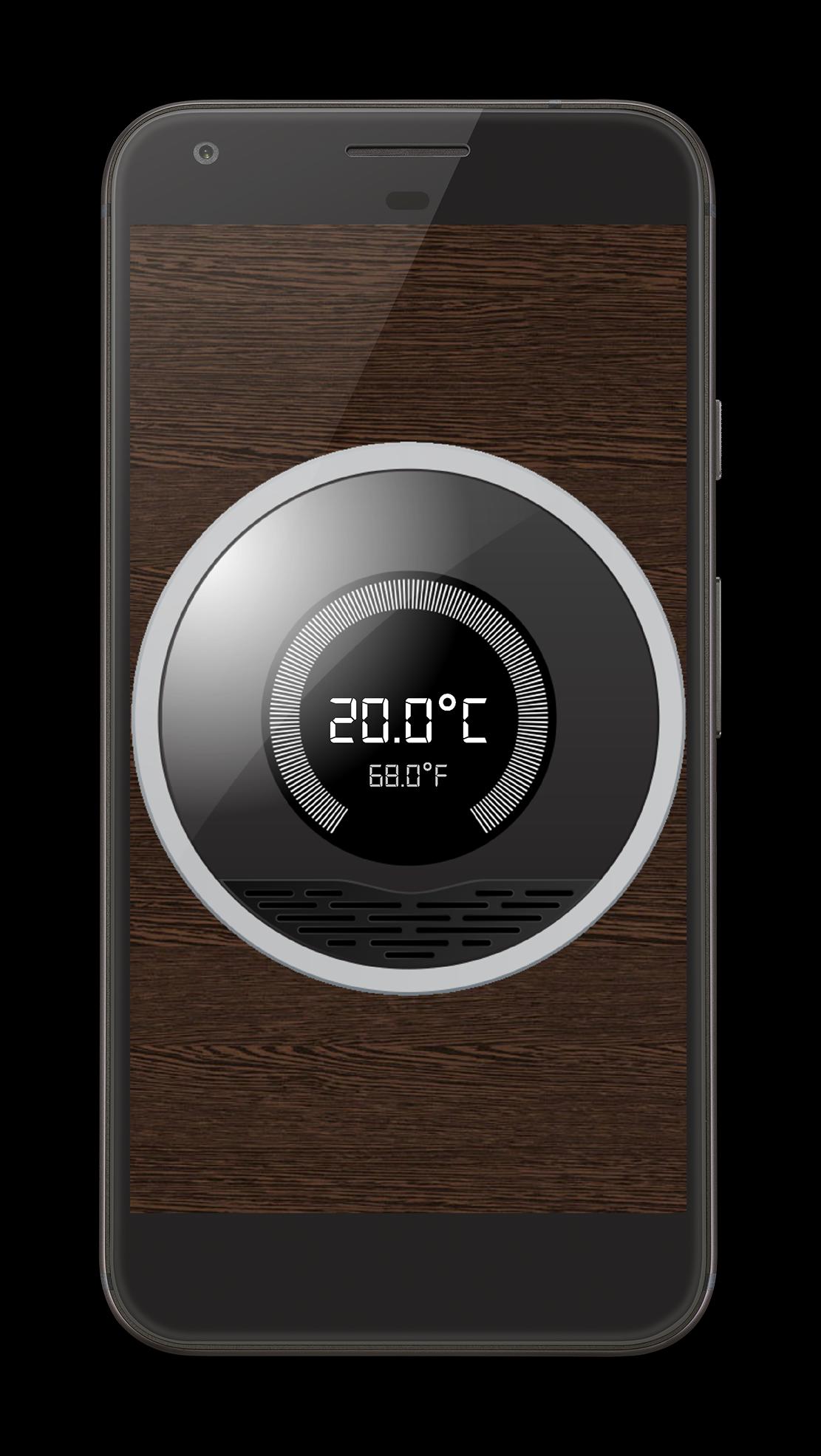 Ambient thermometer
