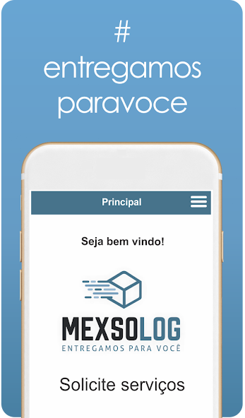 Mexso Log