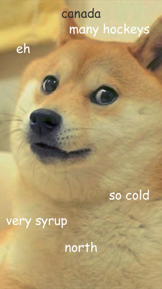 According To Doge