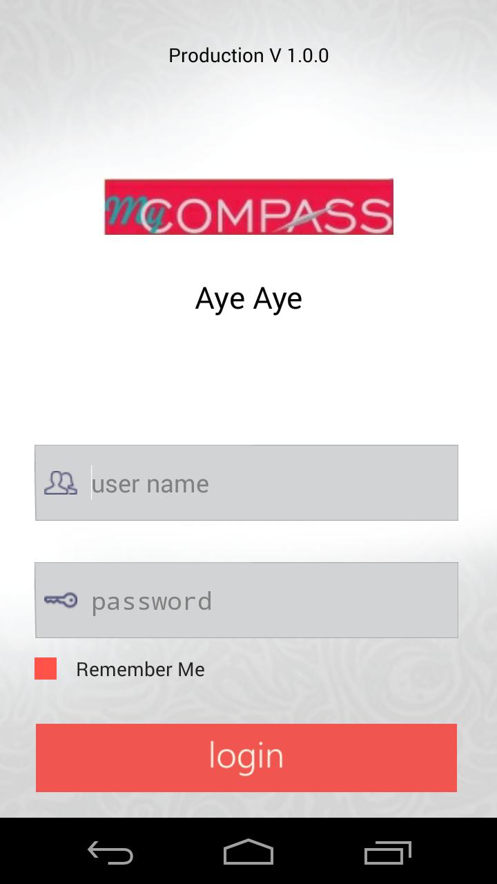 Aye Aye