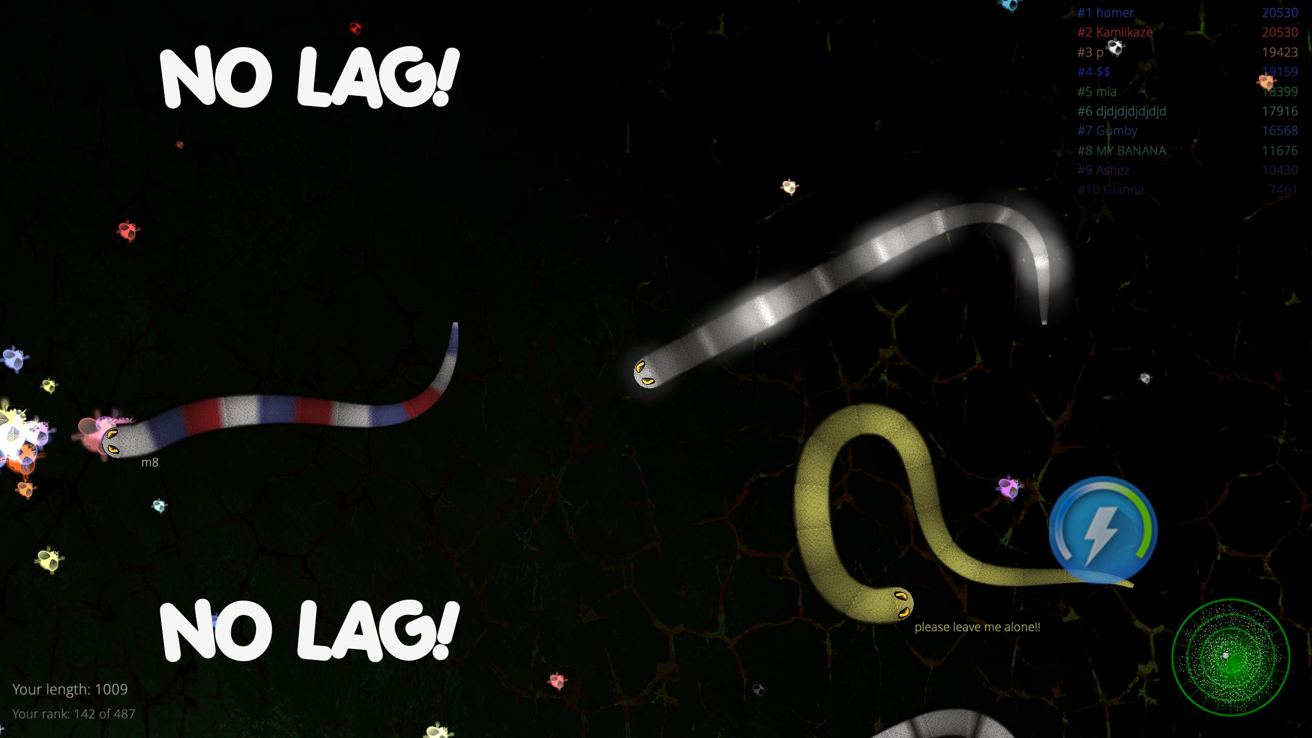 Snakes Fight