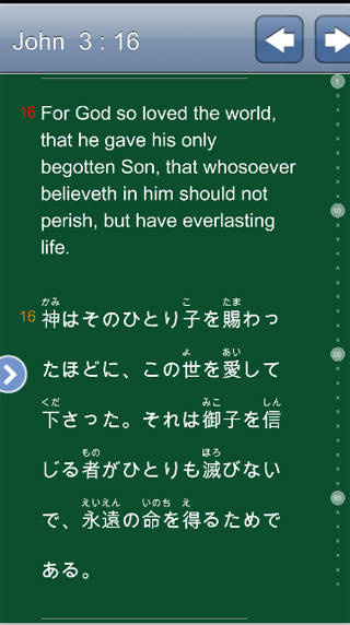 Dual Bible