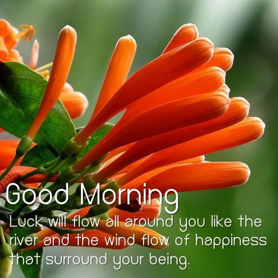 Romantic Good Morning Love Messages