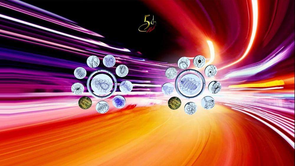 5d Flash Vital