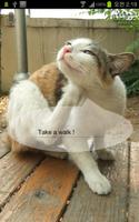 Talkicat Lite