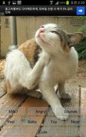 Talkicat Lite